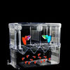 Front view of acrylic aquarium breeder box for fish isolation