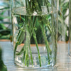 Clear acrylic cylinder vase with dried flowers in contemporary living room