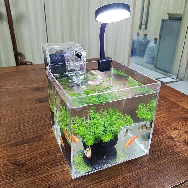 USB-powered filter and light system for small aquarium