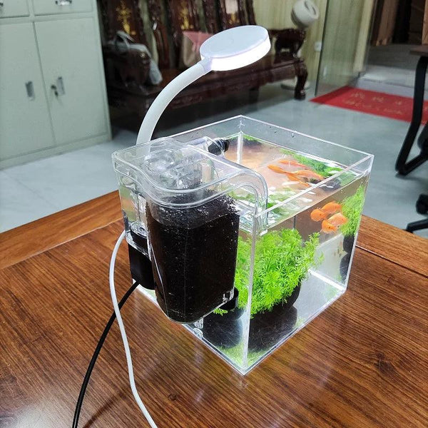 Compact acrylic aquarium for office desktop decoration