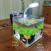 Small acrylic fish tank with black LED light for ambiance
