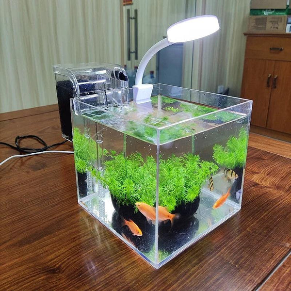 Mini acrylic desktop fish tank with white LED light