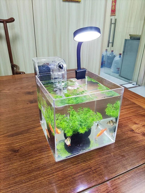 Size dimensions of mini acrylic aquarium in mm and inches