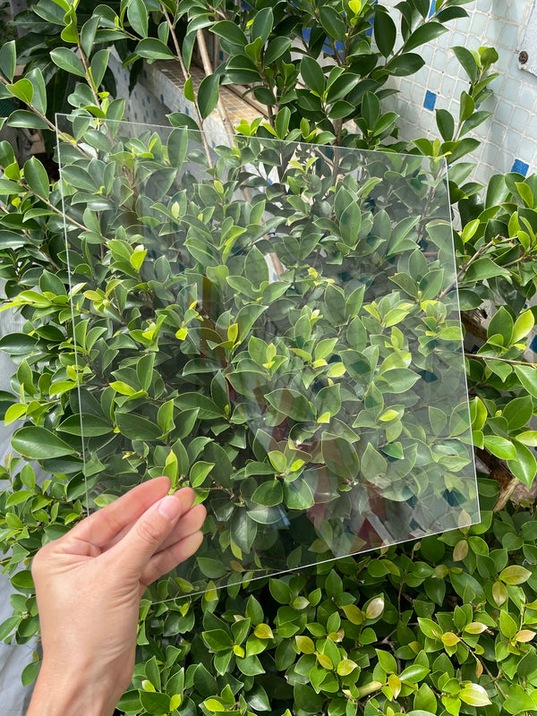 Office reception signage colored acrylic logo display backlit