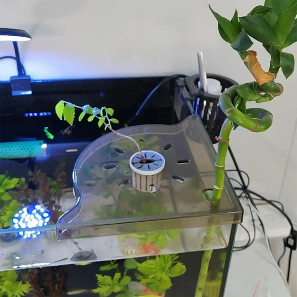 PMMA acrylic clarity comparison vs glass - demonstrating superior transparency for aquarium use