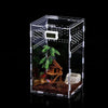 Reptile feeding box with open magnetic lid for easy access