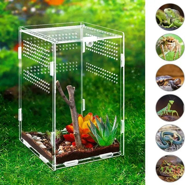 Small acrylic terrarium for gecko and baby snake breeding