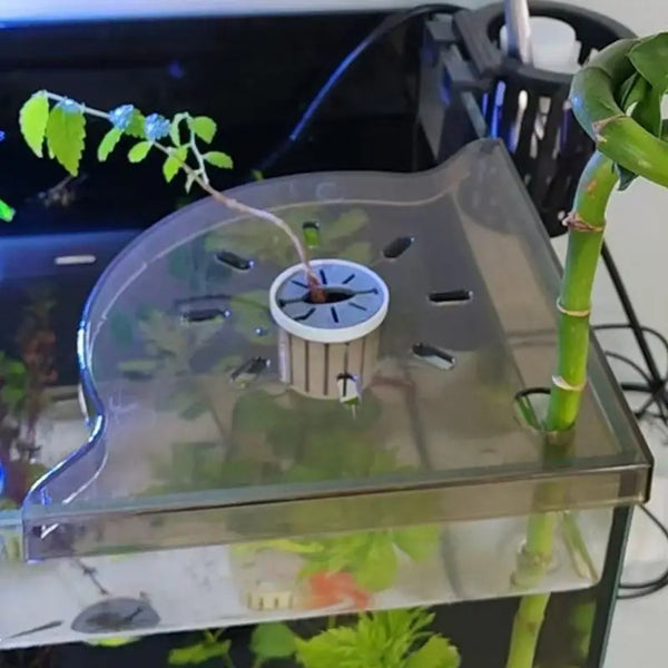 Suction cup mounting system for acrylic aquarium shelf - easy installation without tools