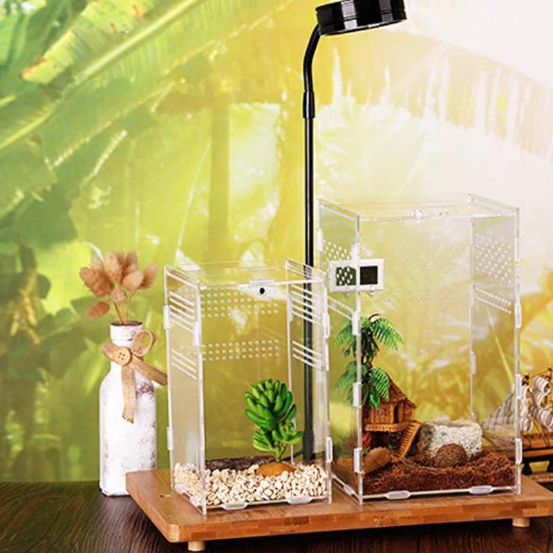 Clear acrylic construction of the tarantula enclosure, allowing for unobstructed viewing of your pet tarantula and its natural behavior