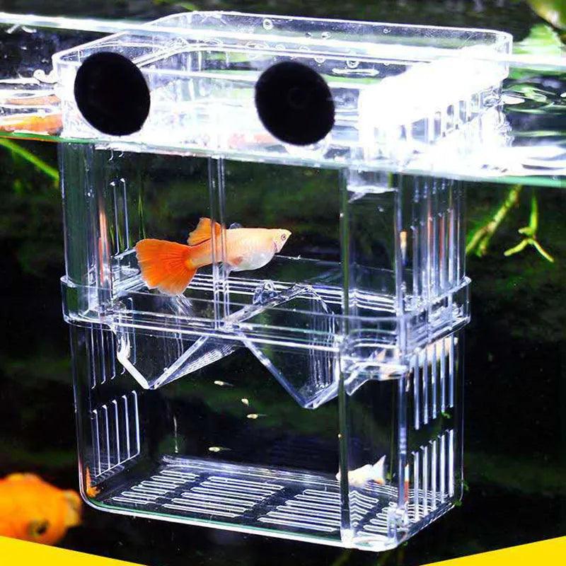 Fish hatchery acrylic divider