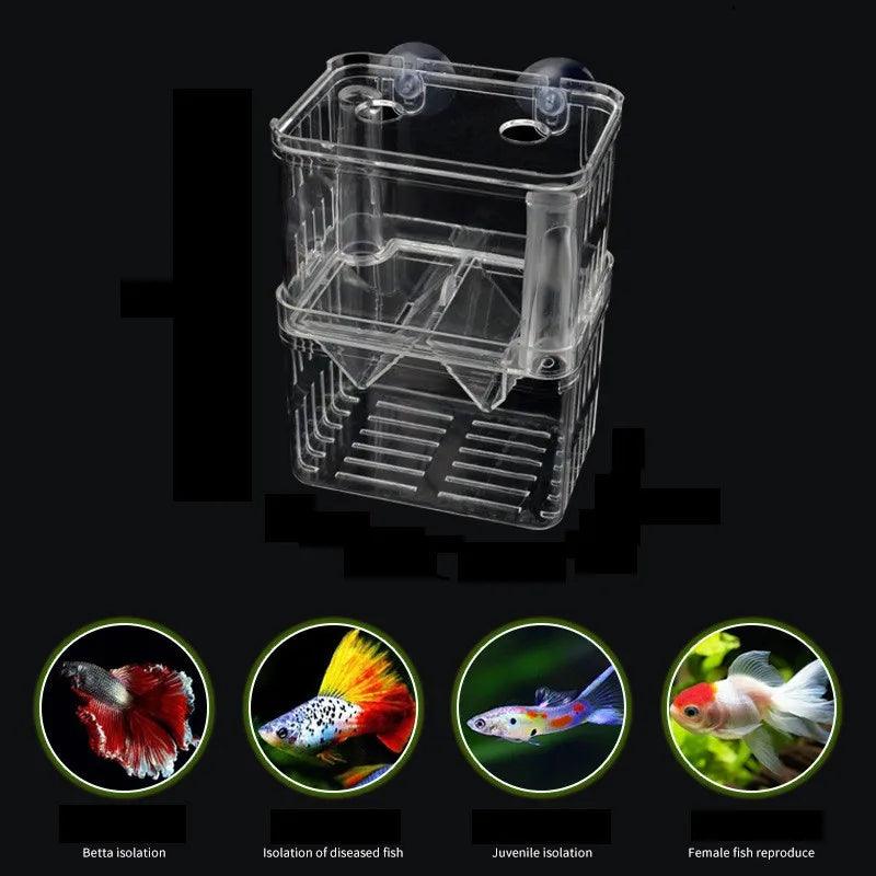 Acrylic tank divider