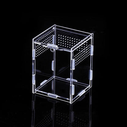 Close-up view of the magnetic lid on the acrylic tarantula enclosure