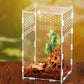 Ventilation holes strategically placed on the acrylic tarantula enclosure for optimal air circulation and maintaining a healthy environment for your pet