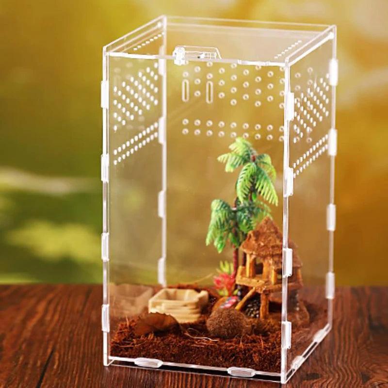Ventilation holes strategically placed on the acrylic tarantula enclosure for optimal air circulation and maintaining a healthy environment for your pet
