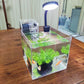 transparent fish tank with LED lamp
