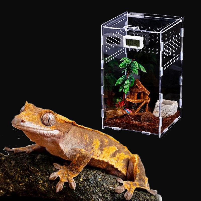 Compact size of the acrylic tarantula enclosure, making it ideal for small spaces or apartments, without compromising on space for your pet.