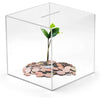 Acrylic savings box dimensions: 5.9 inch cube with 0.3 inch coin slot