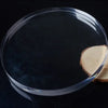Clear round acrylic disc sheets in multiple sizes 60mm to 200mm diameter