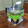 Mini acrylic desktop fish tank with white LED light